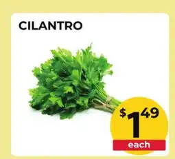 Food World Supermarket CILANTRO offer