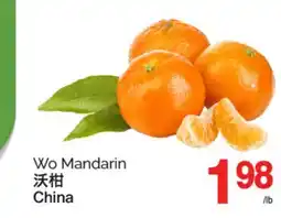 T&T Supermarket WO MANDARIN offer