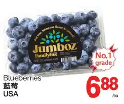 T&T Supermarket BLUEBERRIES offer