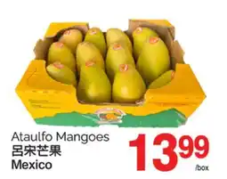 T&T Supermarket ATAULFO MANGOES offer