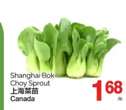 T&T Supermarket SHANGHAI BOK CHOY SPROUT offer