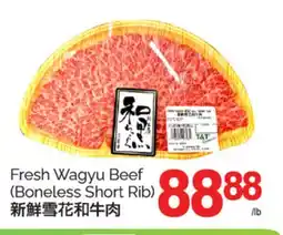 T&T Supermarket FRESH WAGYU BEEF (BONELESS SHORT RIB) offer