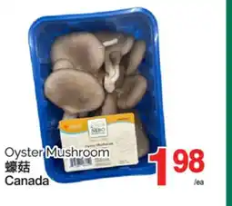 T&T Supermarket OYSTER MUSHROOM offer