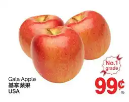 T&T Supermarket GALA APPLE offer