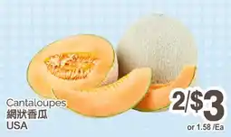 T&T Supermarket CANTALOUPES offer