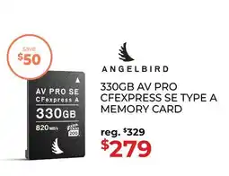 Gosselin Photo AngelBird Memory Card offer