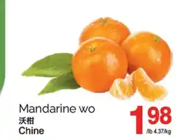 T&T Supermarket MANDARINE WO offer