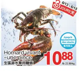 T&T Supermarket HOMARD VIVANT-UNE PINCE offer