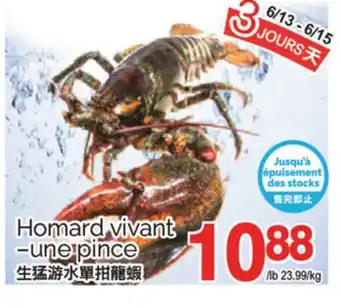 T&T Supermarket HOMARD VIVANT-UNE PINCE offer