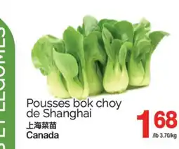 T&T Supermarket POUSSES BOK CHOY DE SHANGHAI offer