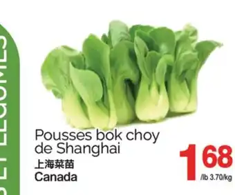 T&T Supermarket POUSSES BOK CHOY DE SHANGHAI offer