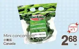 T&T Supermarket MINI CONCOMBRE offer