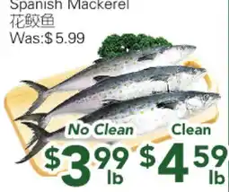 Ample Food Market Spanish Mackerel offer