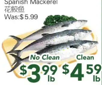 Ample Food Market Spanish Mackerel offer