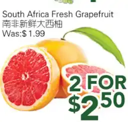 Ample Food Market South Africa Fresh Grapefruit offer