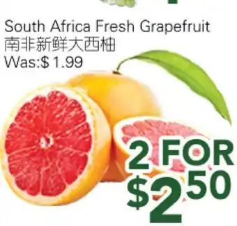 Ample Food Market South Africa Fresh Grapefruit offer