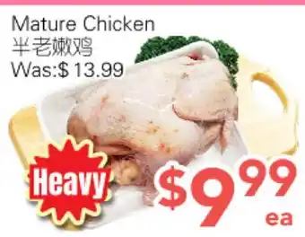 Ample Food Market Mature Chicken offer