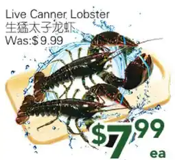 Ample Food Market Live Canner Lobster offer
