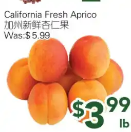 Ample Food Market California Fresh Aprico offer
