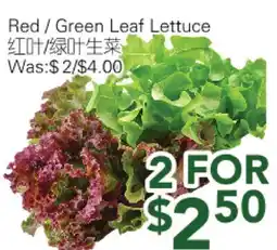 Ample Food Market Red / Green Leaf Lettuce offer
