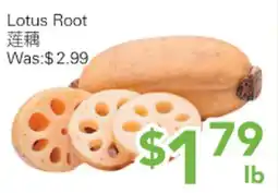 Ample Food Market Lotus Root offer