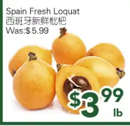 Ample Food Market Spain Fresh Loquat offer