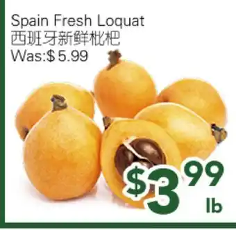 Ample Food Market Spain Fresh Loquat offer