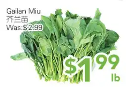 Ample Food Market Gailan Miu offer