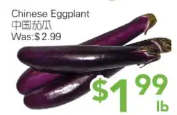 Ample Food Market Chinese Eggplant offer