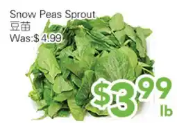 Ample Food Market Snow Peas Sprout offer