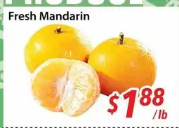 Bestco Food Mart Fresh Mandarin offer