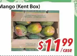 Bestco Food Mart Mango (Kent Box) offer