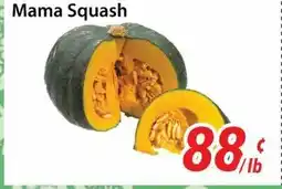 Bestco Food Mart Mama Squash offer