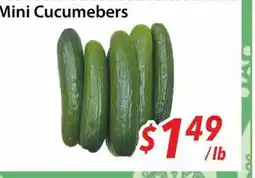 Bestco Food Mart Mini Cucumebers offer
