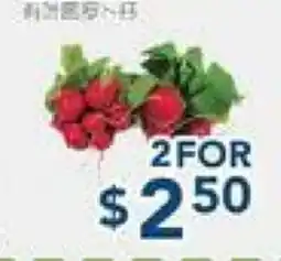 Oceans Fresh Food Market Bunch Radish offer