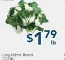 Oceans Fresh Food Market Baby Yu Bok Choy offer