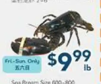 Oceans Fresh Food Market Oceans Fresh Food Market offer