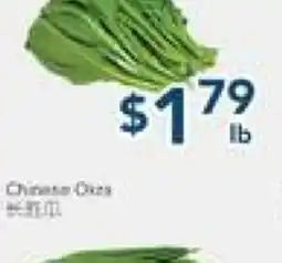 Oceans Fresh Food Market Yu Choy offer