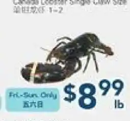 Oceans Fresh Food Market Lasang Cooked Signal Cow She offer