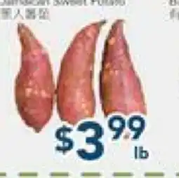 Oceans Fresh Food Market Vegetable offer
