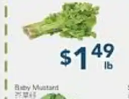Oceans Fresh Food Market Baby Mastard offer
