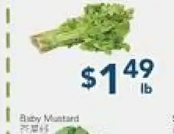 Oceans Fresh Food Market Baby Mastard offer