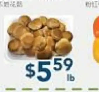 Oceans Fresh Food Market Local Mushroom offer