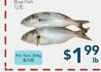 Oceans Fresh Food Market Blue Fish offer