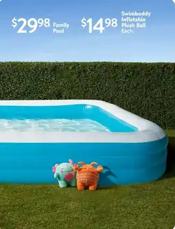 Walmart Family pool offer