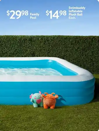 Walmart Family pool offer