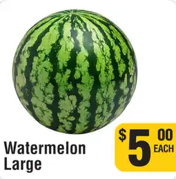 Iqbal Foods Watermelon large offer