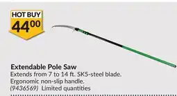 Princess Auto Extendable Pole Saw offer