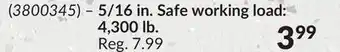 Princess Auto Grade 70 Slip Hooks offer