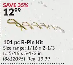 Princess Auto 101pc R-Pin Kit offer